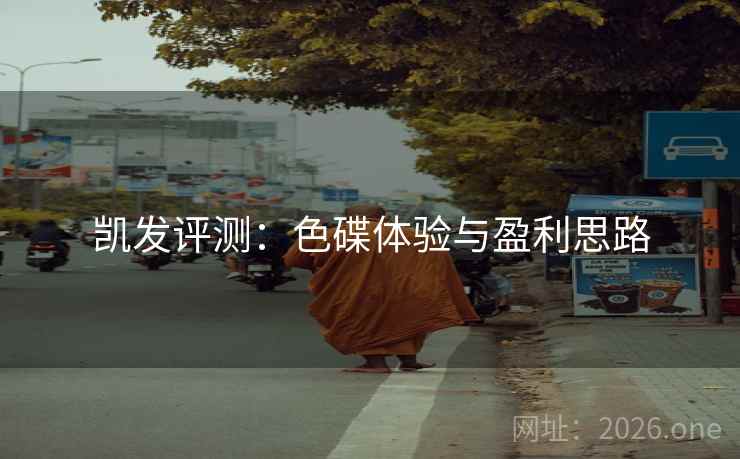 凯发评测：色碟体验与盈利思路
