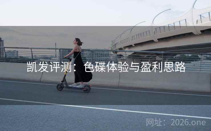 凯发评测：色碟体验与盈利思路