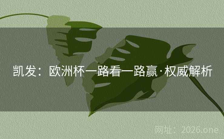 凯发：欧洲杯一路看一路赢·权威解析