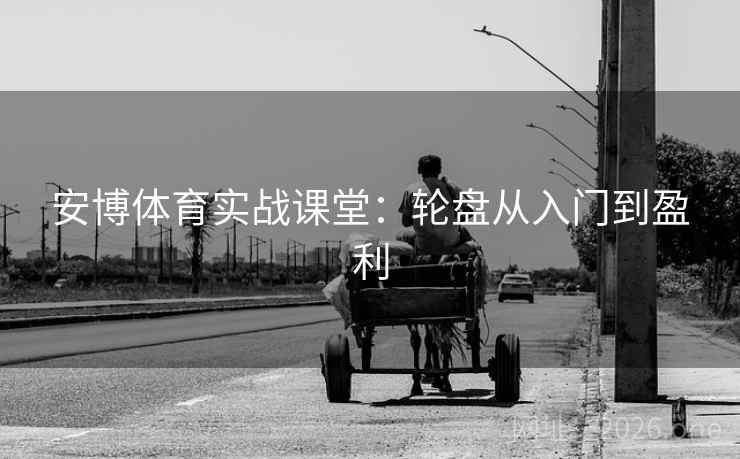安博体育实战课堂：轮盘从入门到盈利