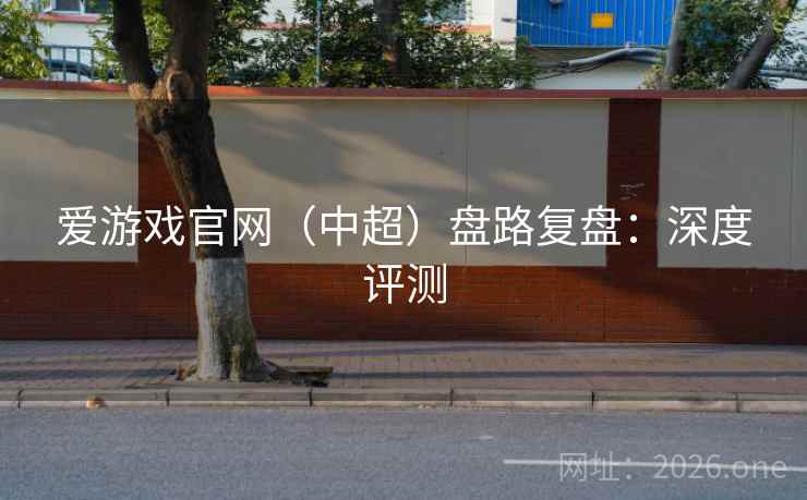 爱游戏官网（中超）盘路复盘：深度评测
