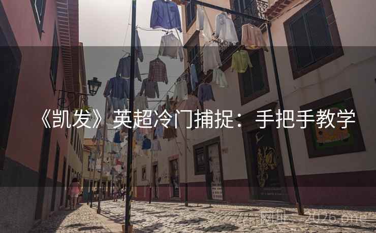 《凯发》英超冷门捕捉：手把手教学