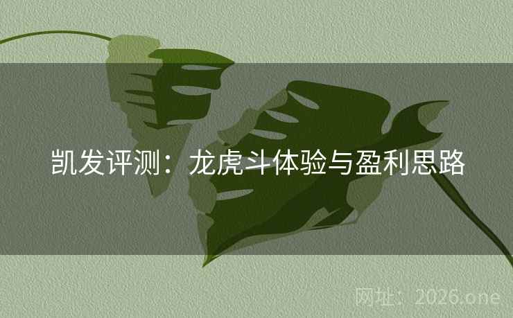 凯发评测：龙虎斗体验与盈利思路