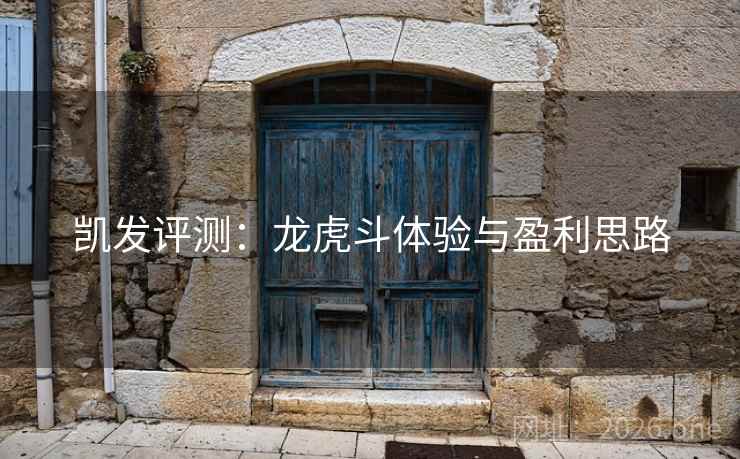 凯发评测：龙虎斗体验与盈利思路