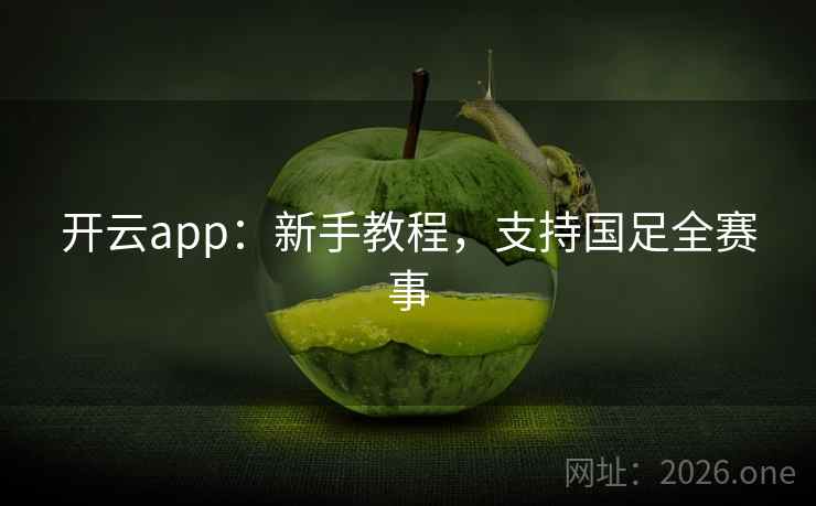 开云app：新手教程，支持国足全赛事