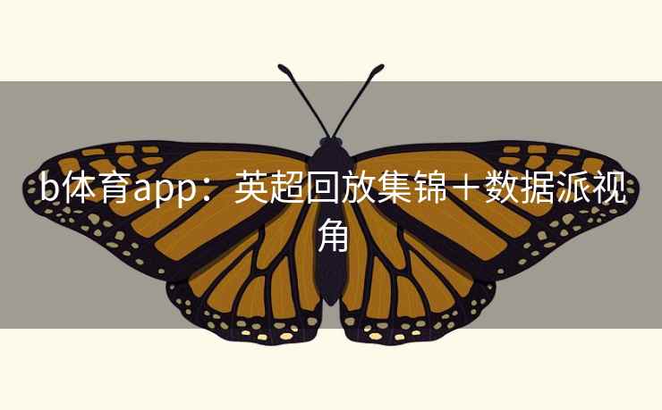 b体育app：英超回放集锦＋数据派视角